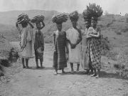Frauen mit Bananenstauden in Afrika 1911